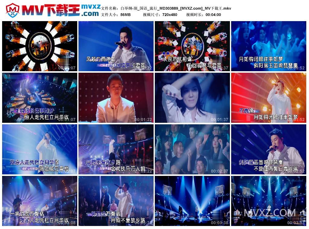 白举纲-别_国语_流行_MD303889